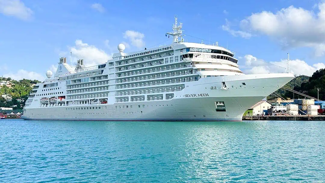 Home 6 The Ultimate Guide On How to book a cruise in 2025